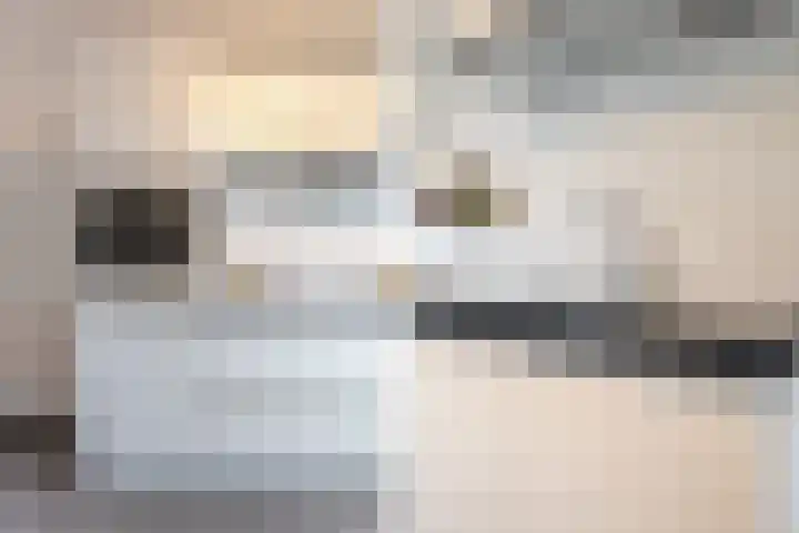Palmkool 4 Dorst thumbnail 19