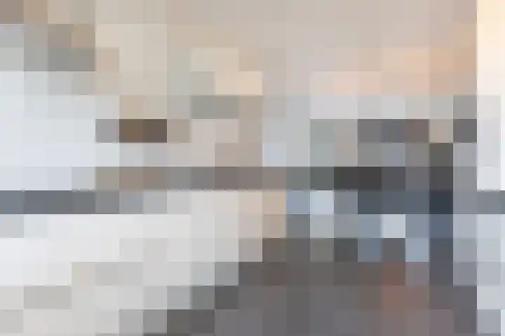 Palmkool 4 Dorst thumbnail 21