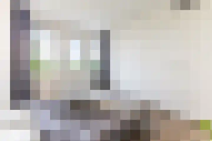 Palmkool 4 Dorst thumbnail 22