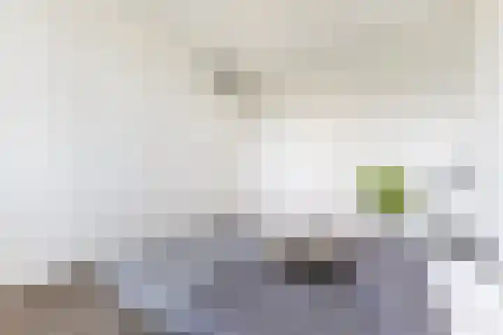Palmkool 4 Dorst thumbnail 23
