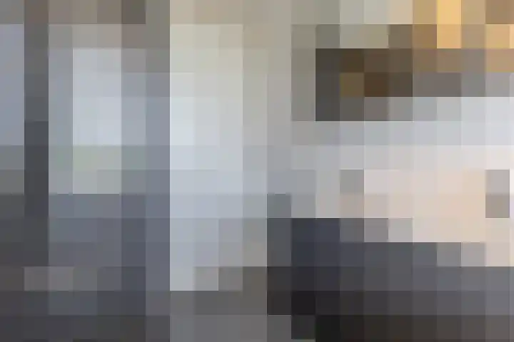 Palmkool 4 Dorst thumbnail 30