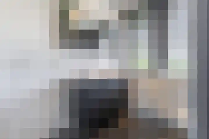 Palmkool 4 Dorst thumbnail 31