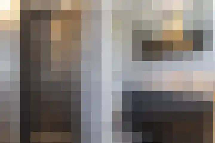Palmkool 4 Dorst thumbnail 32
