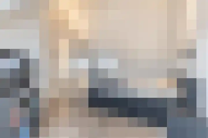 Palmkool 4 Dorst thumbnail 34