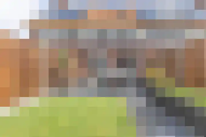 Palmkool 4 Dorst thumbnail 35