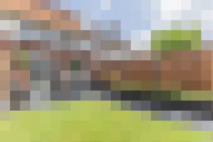 Palmkool 4 Dorst thumbnail 36