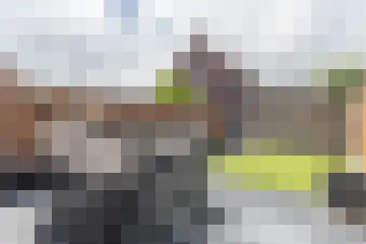 Palmkool 4 Dorst thumbnail 37