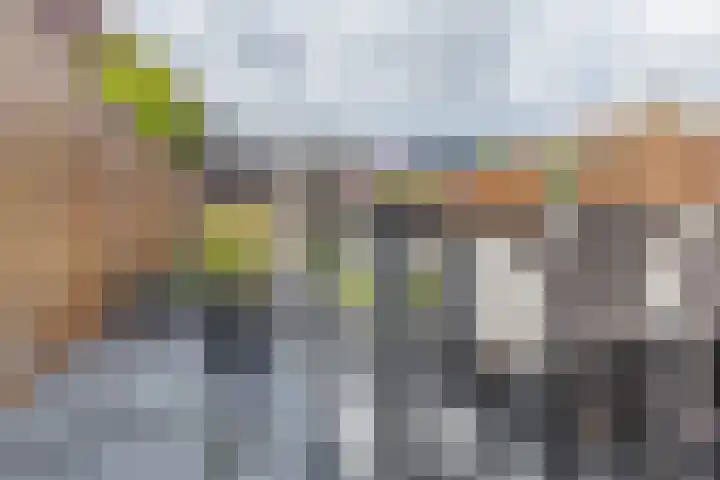 Palmkool 4 Dorst thumbnail 38