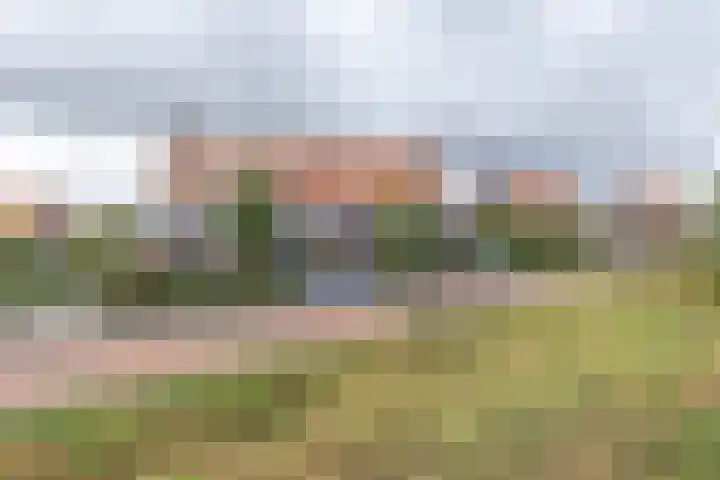 Palmkool 4 Dorst thumbnail 39