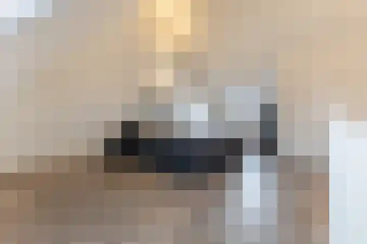 Palmkool 4 Dorst thumbnail 4