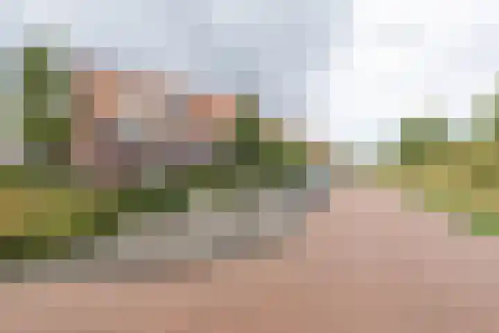 Palmkool 4 Dorst thumbnail 40