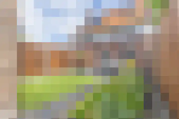 Palmkool 4 Dorst thumbnail 5
