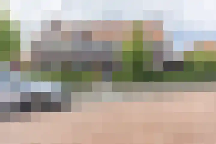 Palmkool 4 Dorst thumbnail 6