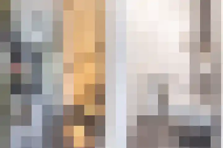 Palmkool 4 Dorst thumbnail 7