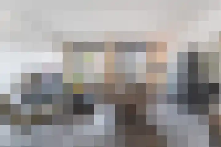Palmkool 4 Dorst thumbnail 9