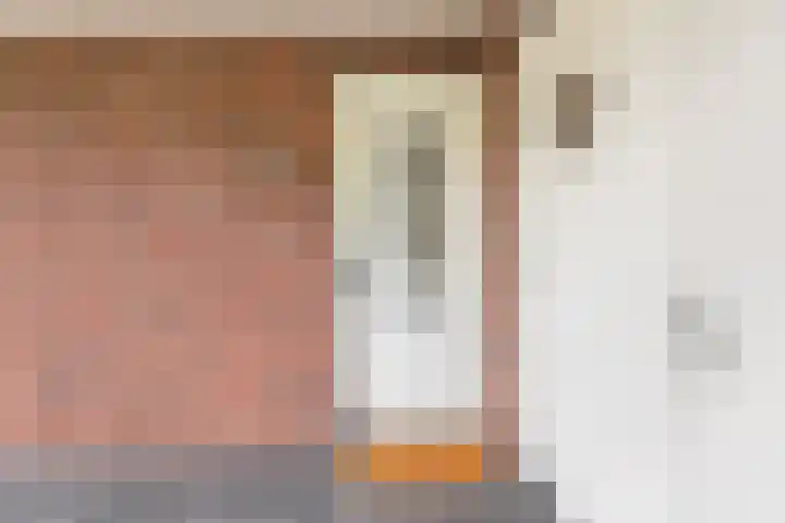 Palmlaan 16 Etten thumbnail 10