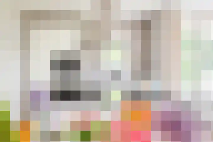 Palmlaan 16 Etten thumbnail 16