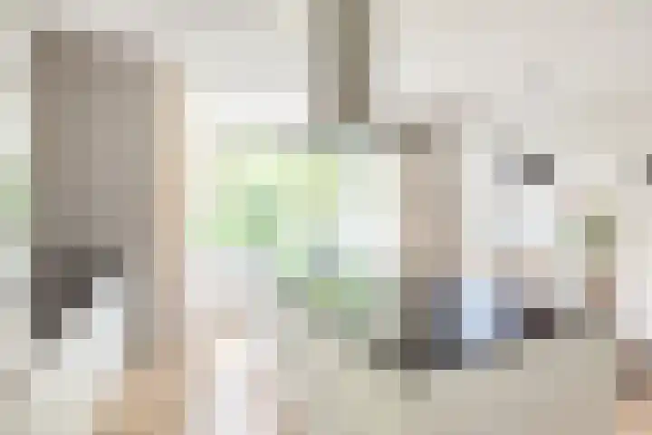 Palmlaan 16 Etten thumbnail 17