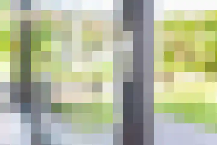 Palmlaan 16 Etten thumbnail 27