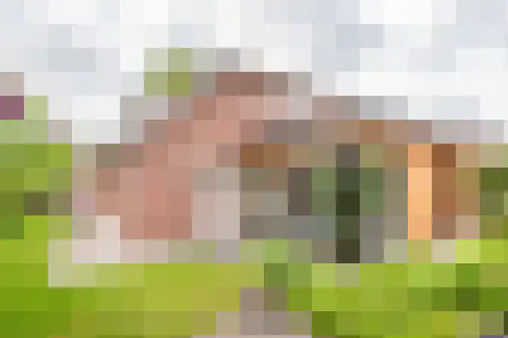 Palmlaan 16 Etten thumbnail 4