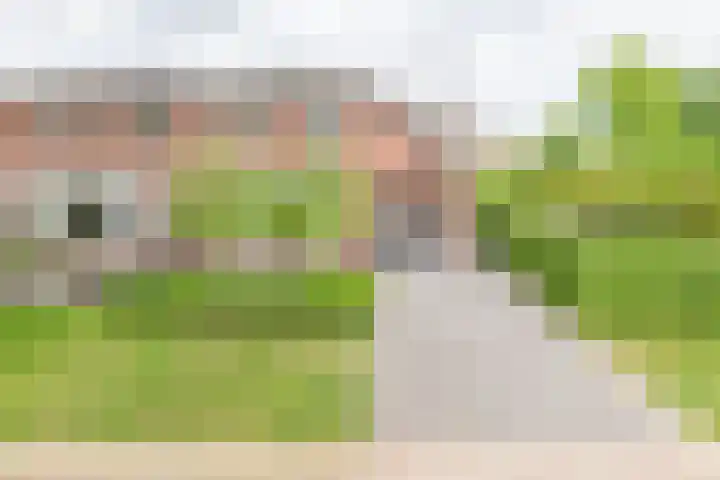 Palmlaan 16 Etten thumbnail 5