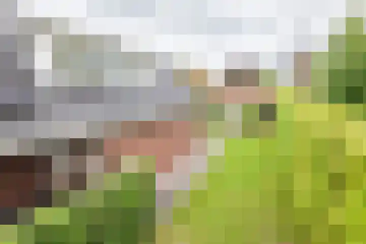 Palmlaan 16 Etten thumbnail 51
