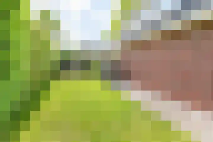 Palmlaan 16 Etten thumbnail 52
