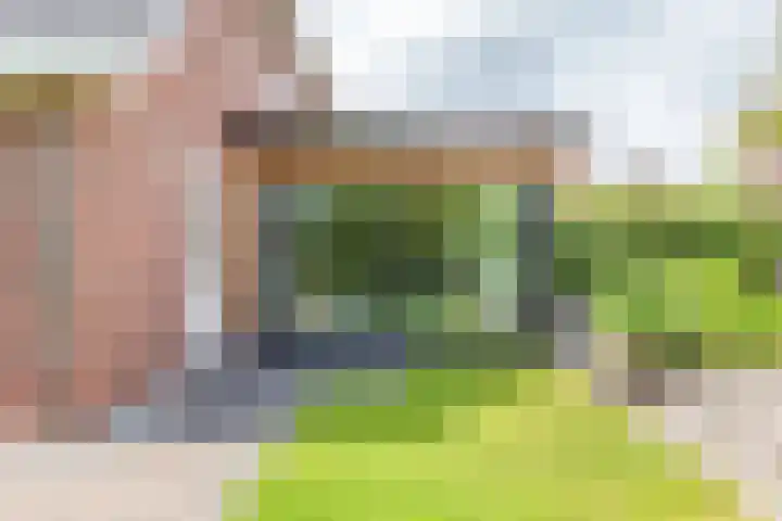 Palmlaan 16 Etten thumbnail 53