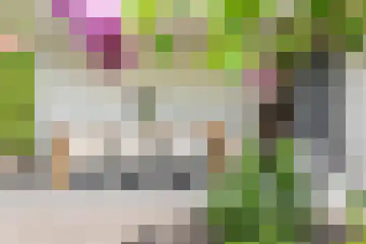Palmlaan 16 Etten thumbnail 55