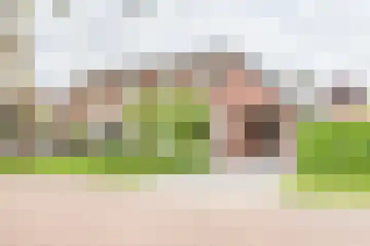 Palmlaan 16 Etten thumbnail 6