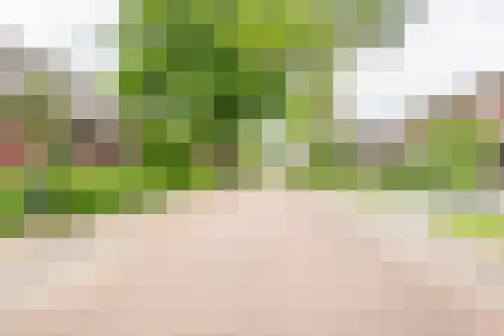 Palmlaan 16 Etten thumbnail 63