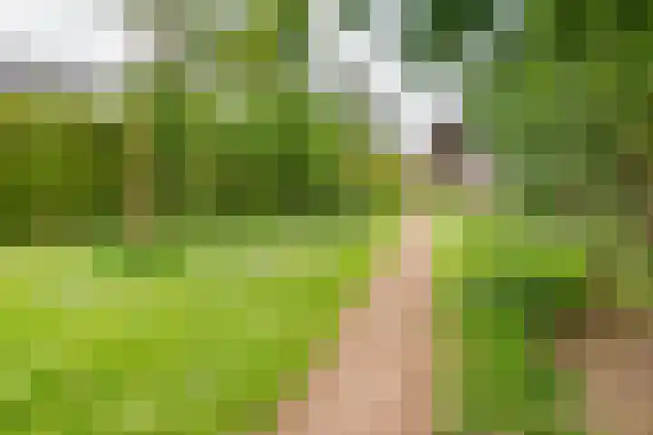 Palmlaan 16 Etten thumbnail 64