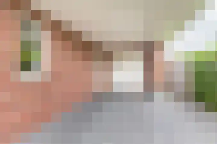 Palmlaan 16 Etten thumbnail 8