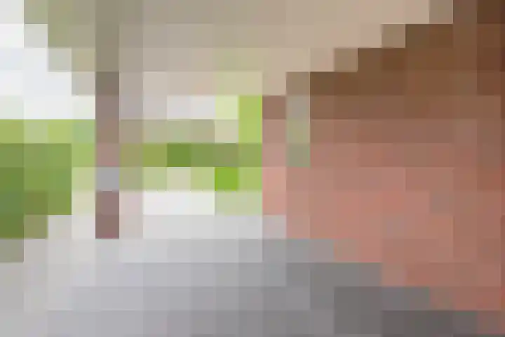 Palmlaan 16 Etten thumbnail 9