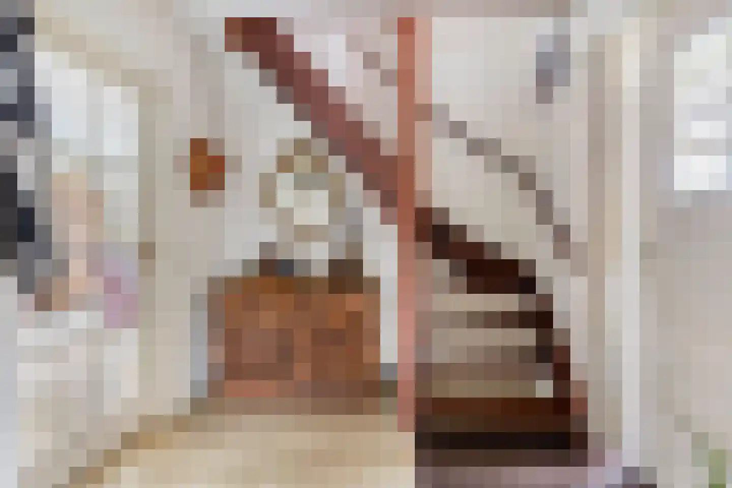 Palmlaan 8 Etten thumbnail 15
