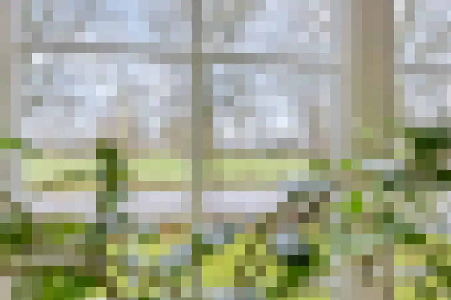 Palmlaan 8 Etten thumbnail 22