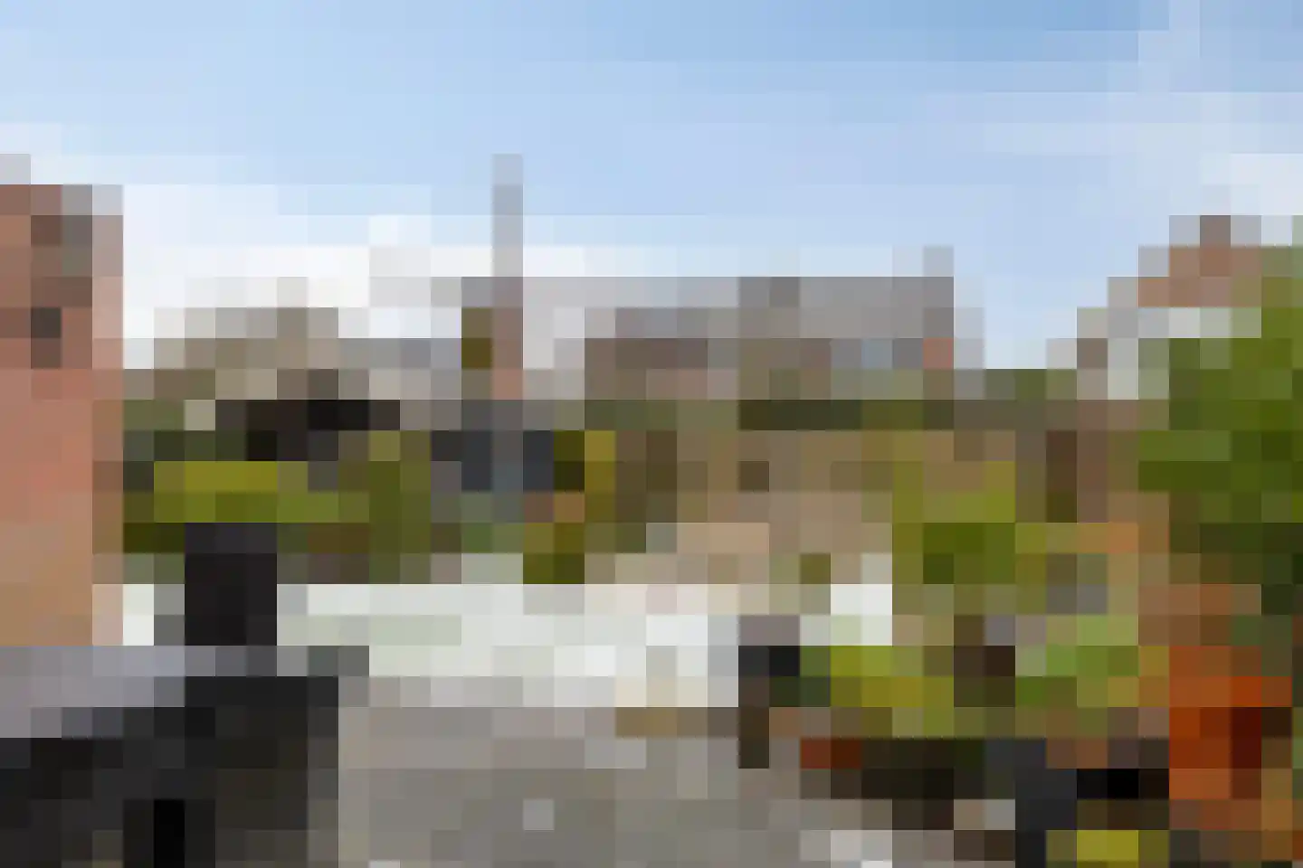 Palmlaan 8 Etten thumbnail 4