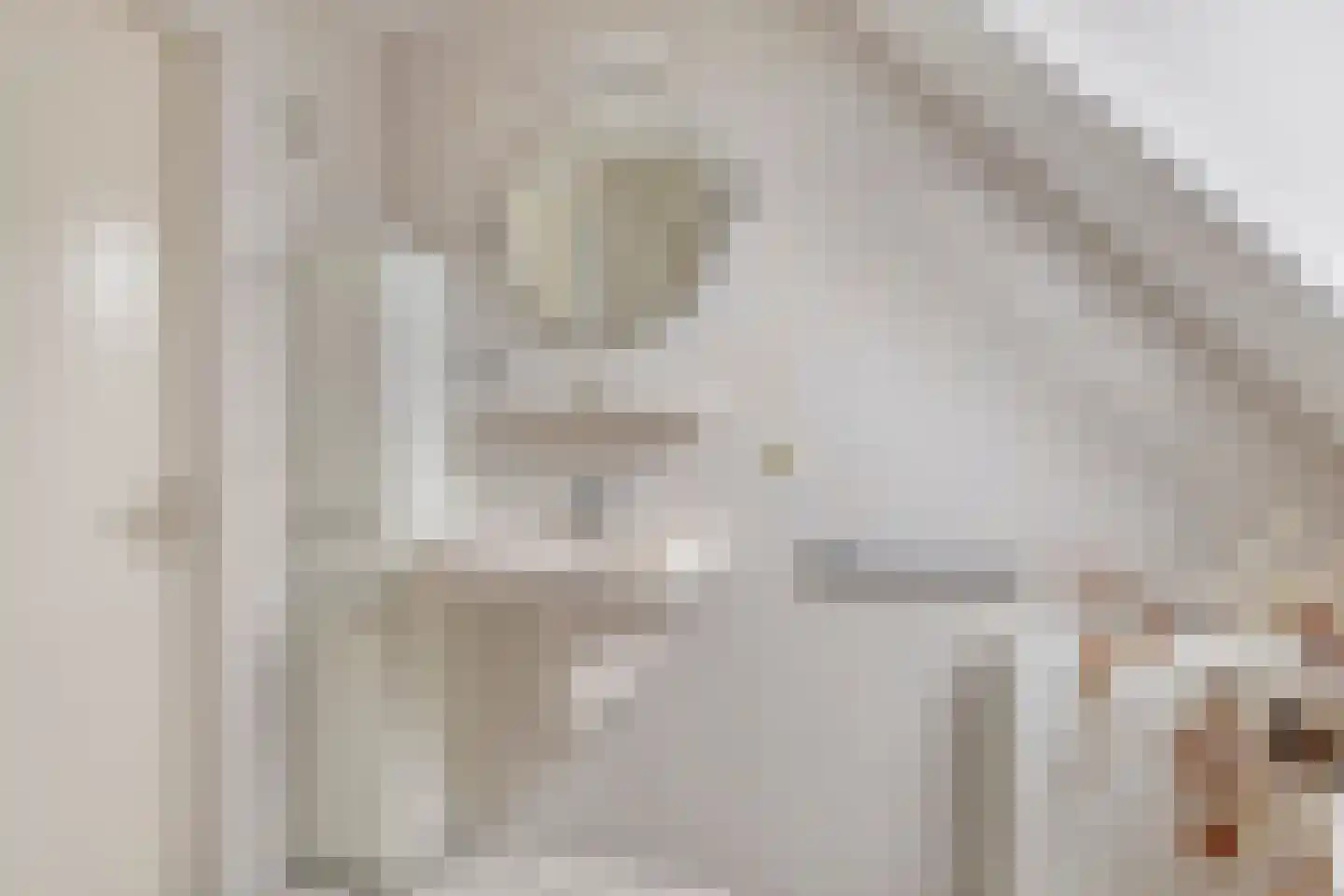 Palmlaan 8 Etten thumbnail 42