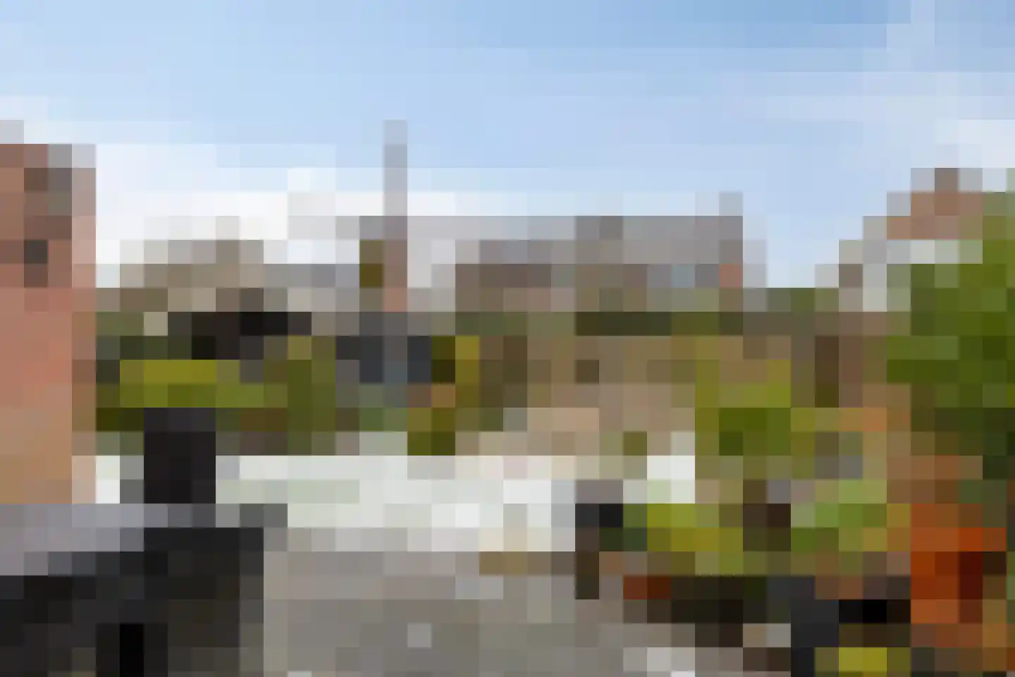 Palmlaan 8 Etten thumbnail 45