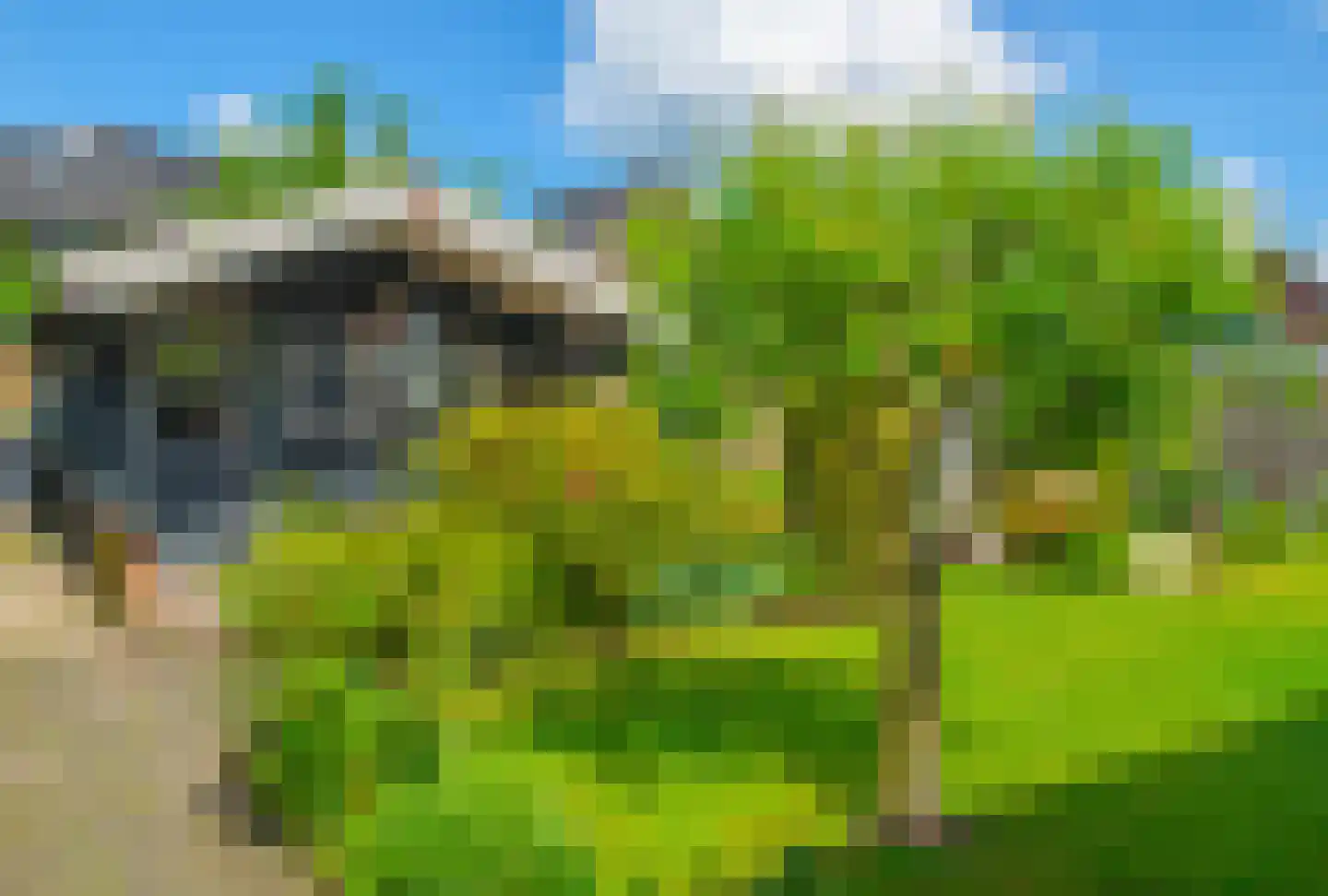 Palmlaan 8 Etten thumbnail 45