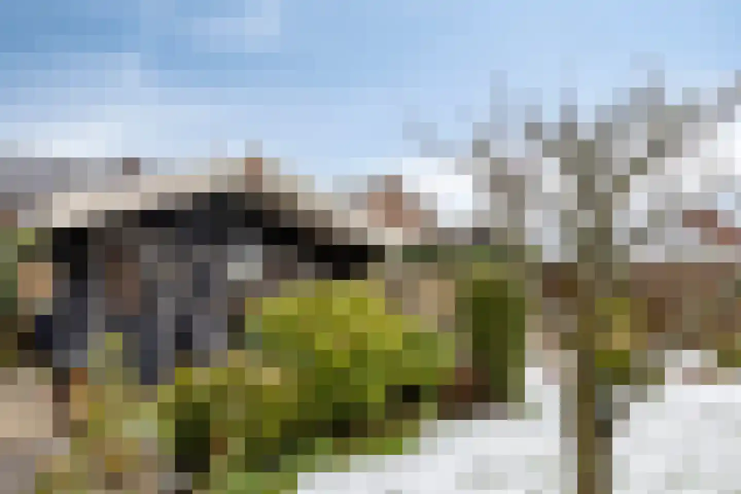 Palmlaan 8 Etten thumbnail 46