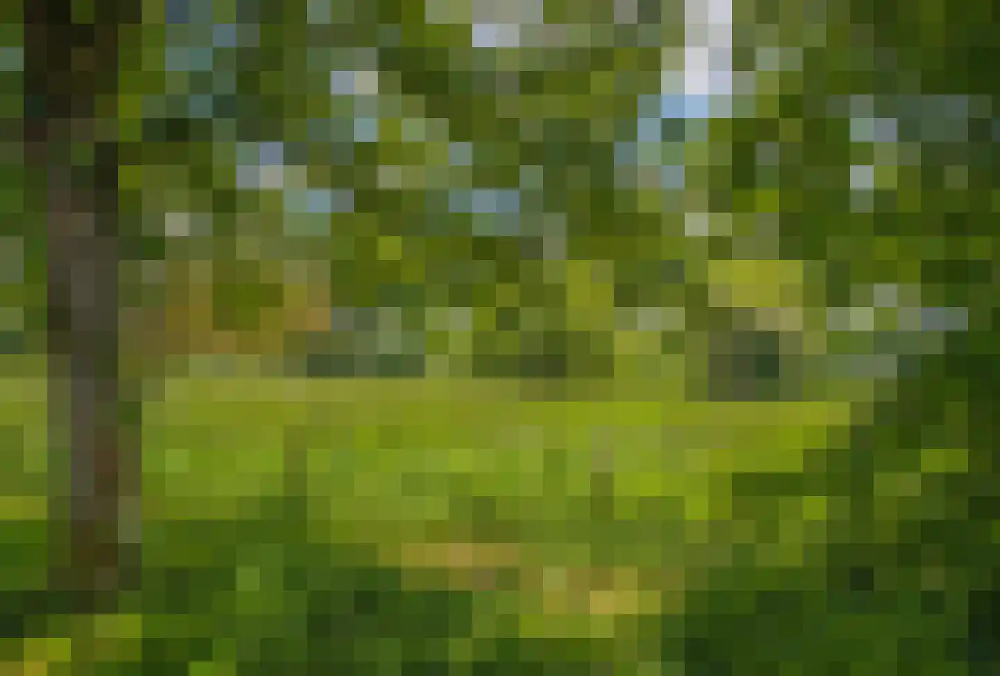 Palmlaan 8 Etten thumbnail 47