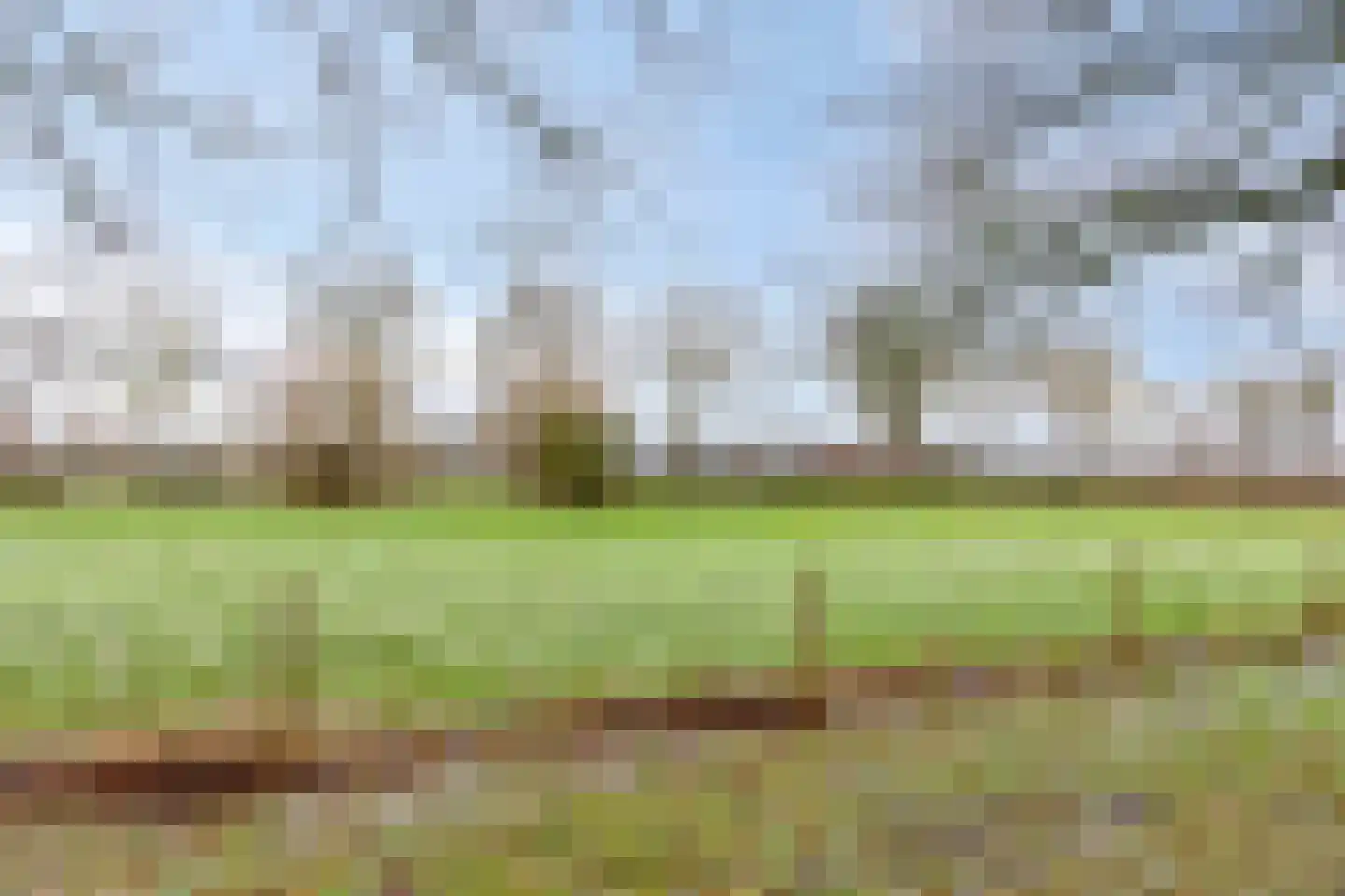 Palmlaan 8 Etten thumbnail 51