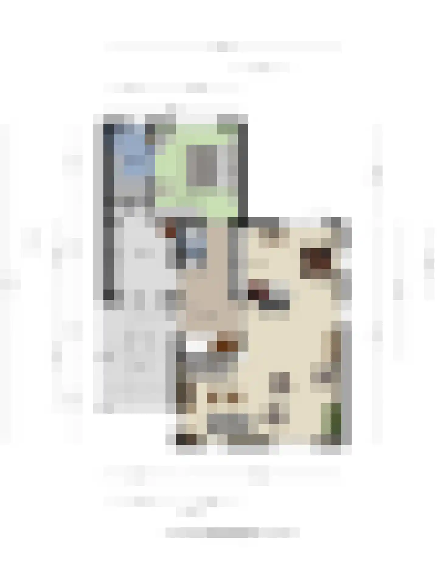 Palmlaan 8 Etten thumbnail 52