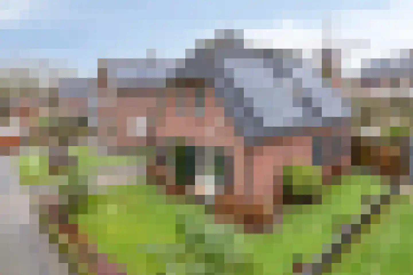 Palmlaan 8 Etten thumbnail 8