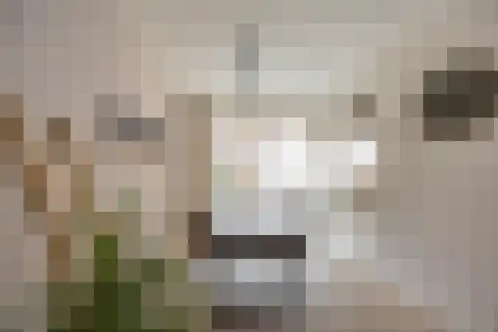 Palmslag 73 Groningen thumbnail 10