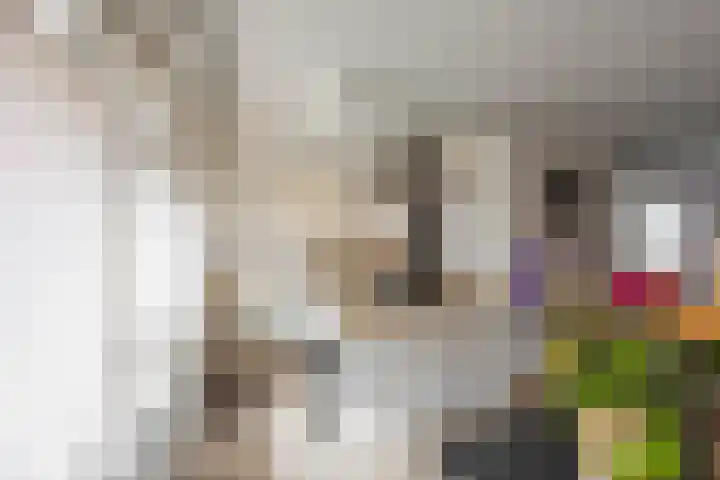 Palmslag 73 Groningen thumbnail 11