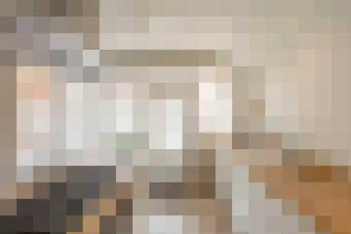 Palmslag 73 Groningen thumbnail 15