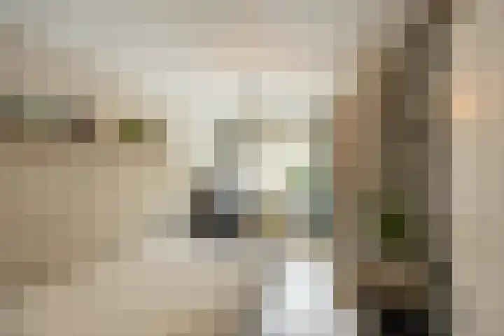 Palmslag 73 Groningen thumbnail 19