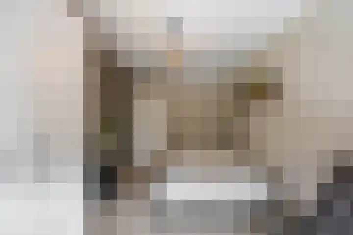 Palmslag 73 Groningen thumbnail 20
